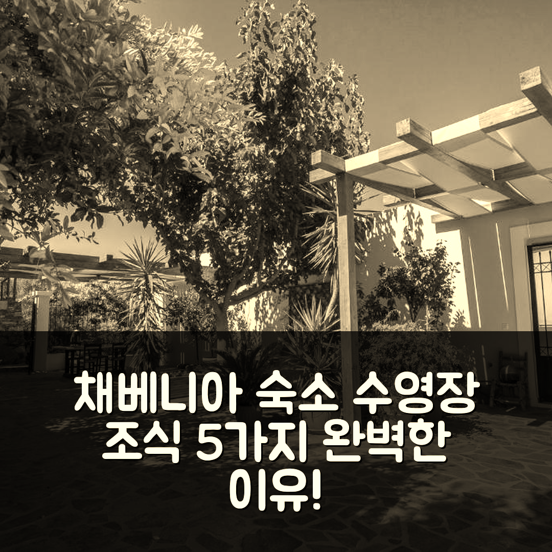 채베니아 숙소 여행 호텔 추천 빌라 디오 페트레스 | 수영장과 조식이 완벽한 5가지 이유