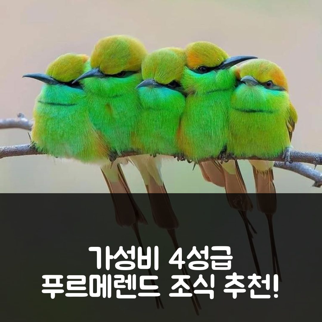 푸르메렌드 숙소 여행 호텔 추천 랜드러스트 게스트하우스 | 가성비 뛰어난 4성급 조식과 위치 정보 7가지