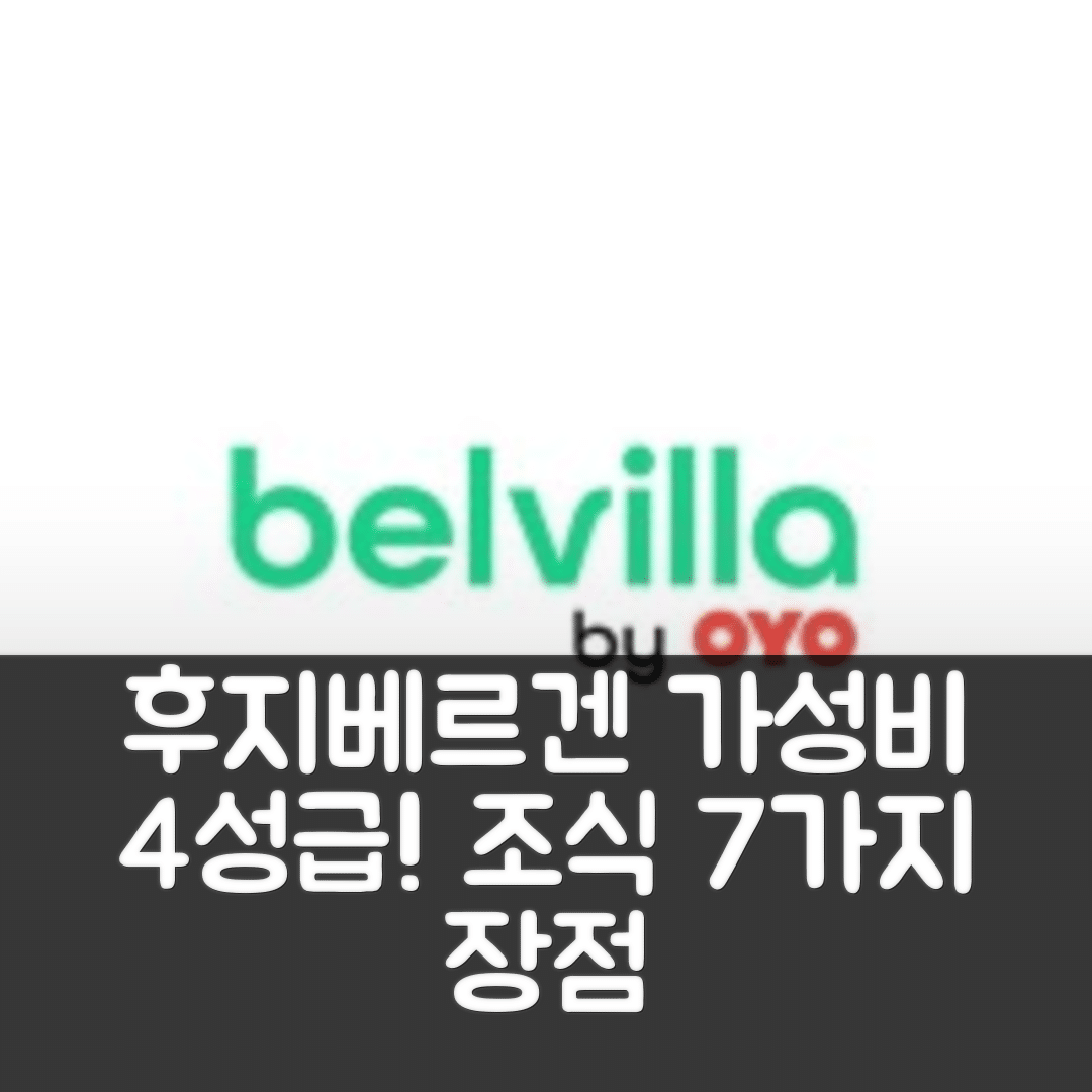 후지베르겐 숙소 여행 호텔 추천 홀리데이 홈 인 후이베르겐 | 가성비 뛰어난 4성급 위치와 조식 7가지 장점
