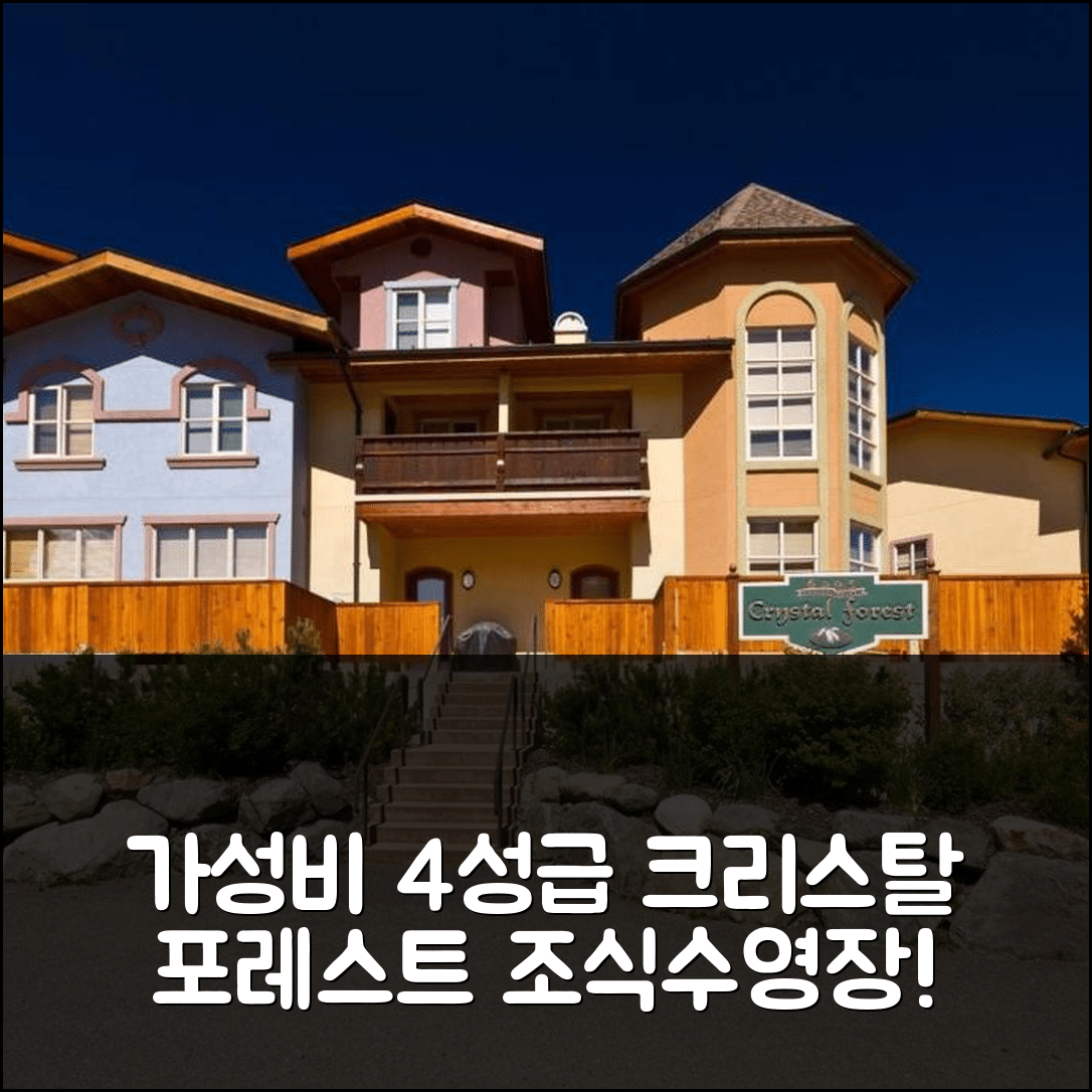 썬 픽스 숙소 여행 호텔 추천 크리스탈 포레스트 63 | 가성비 뛰어난 4성급 조식 및 수영장 정보 5가지
