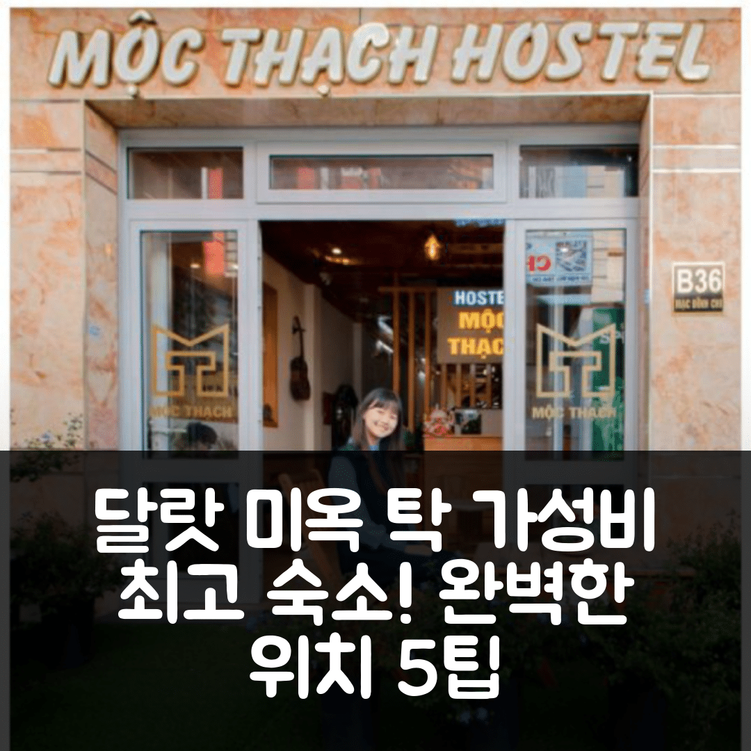 달랏 숙소 여행 호텔 추천 미옥 탁 호스텔 | 가성비 뛰어난 20m² 프라이빗룸과 완벽한 위치 5가지 팁