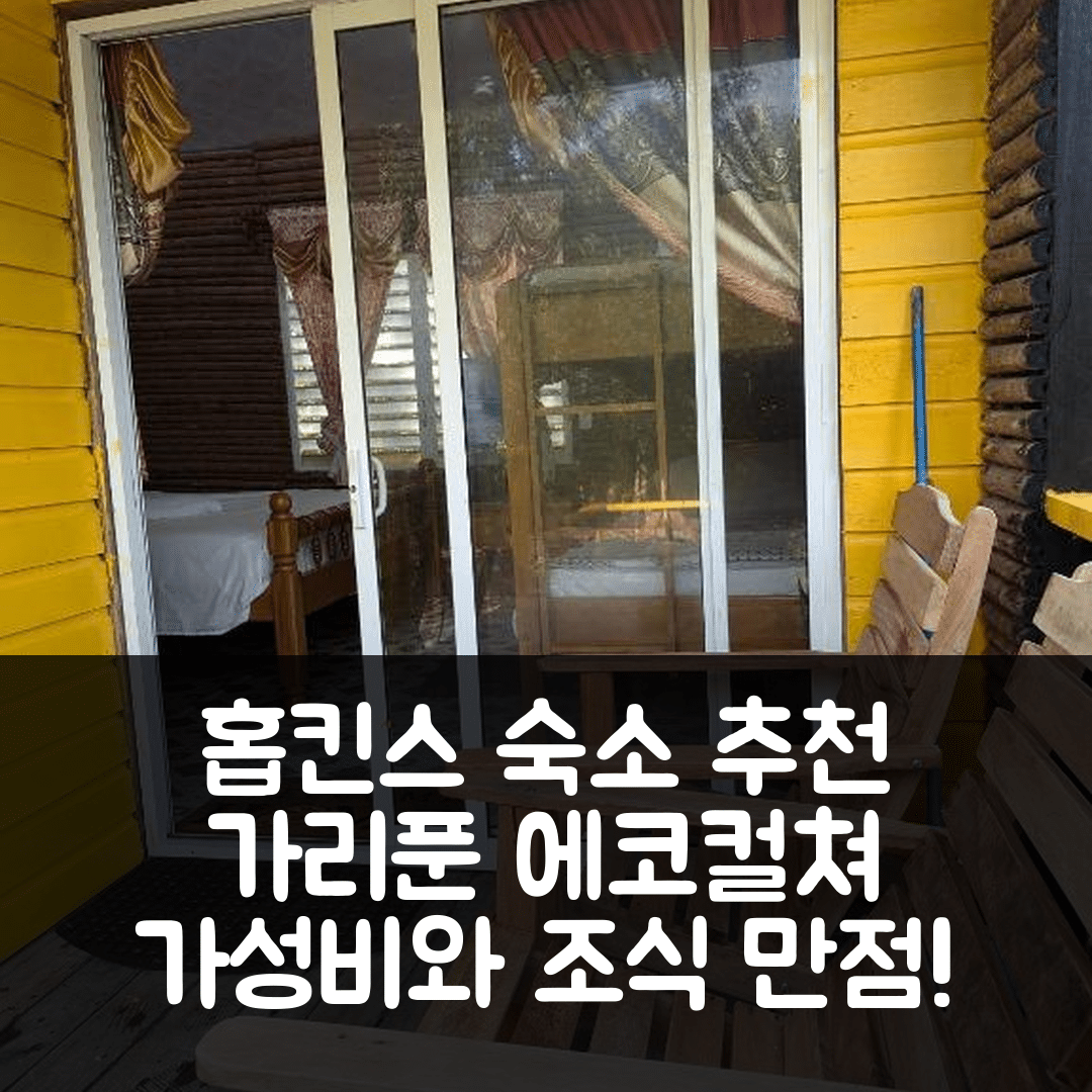홉킨스 숙소 여행 호텔 추천 팔멘토 그로브 가리푼 에코컬쳐 호텔 | 가성비와 조식이 뛰어난 5가지 이유